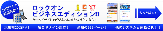 ロックオンビジネスエディション。公式サイト対応可能。